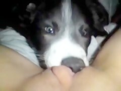 Thumb 14