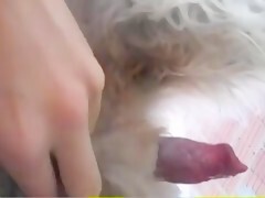 Thumb 15