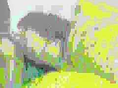 Thumb 20